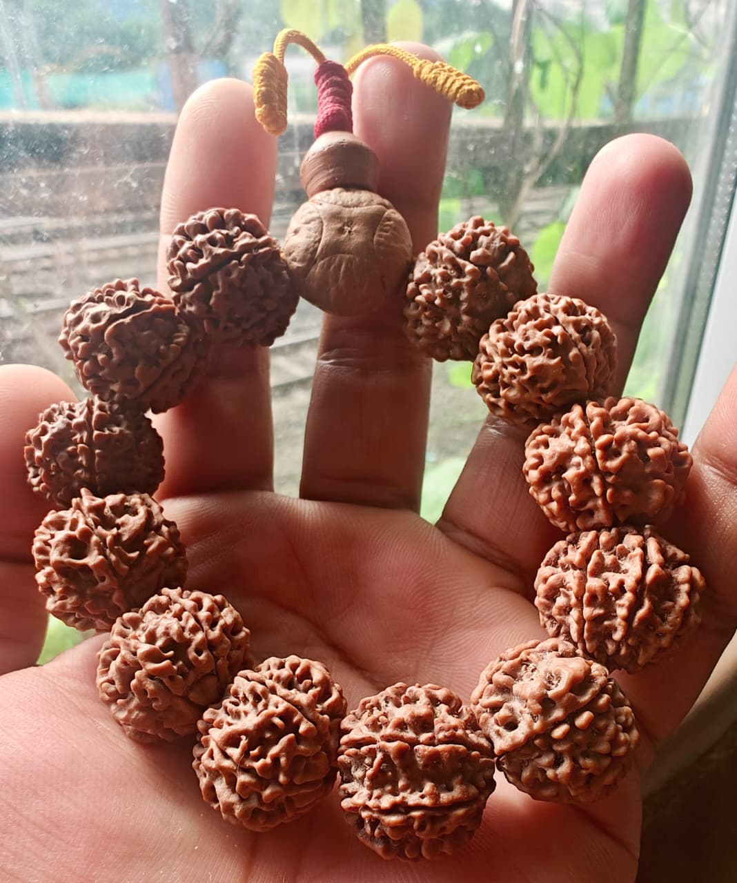 7 Mukhi Nepali Rudraksh Bracelet