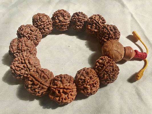 7 Mukhi Nepali Rudraksh Bracelet