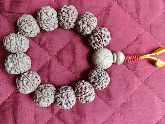 Nepali 5 Mukhi Rudraksha Bracelet