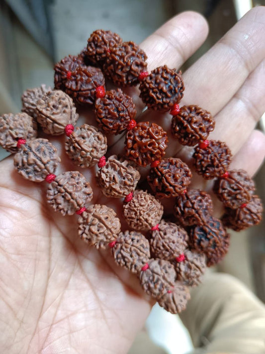 5 मुखी रुद्राक्ष माला (13–14 mm, 55 Beads) Nepali