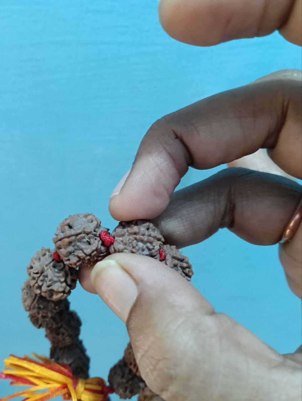 5 मुखी रुद्राक्ष माला (13–14 mm, 55 Beads) Nepali