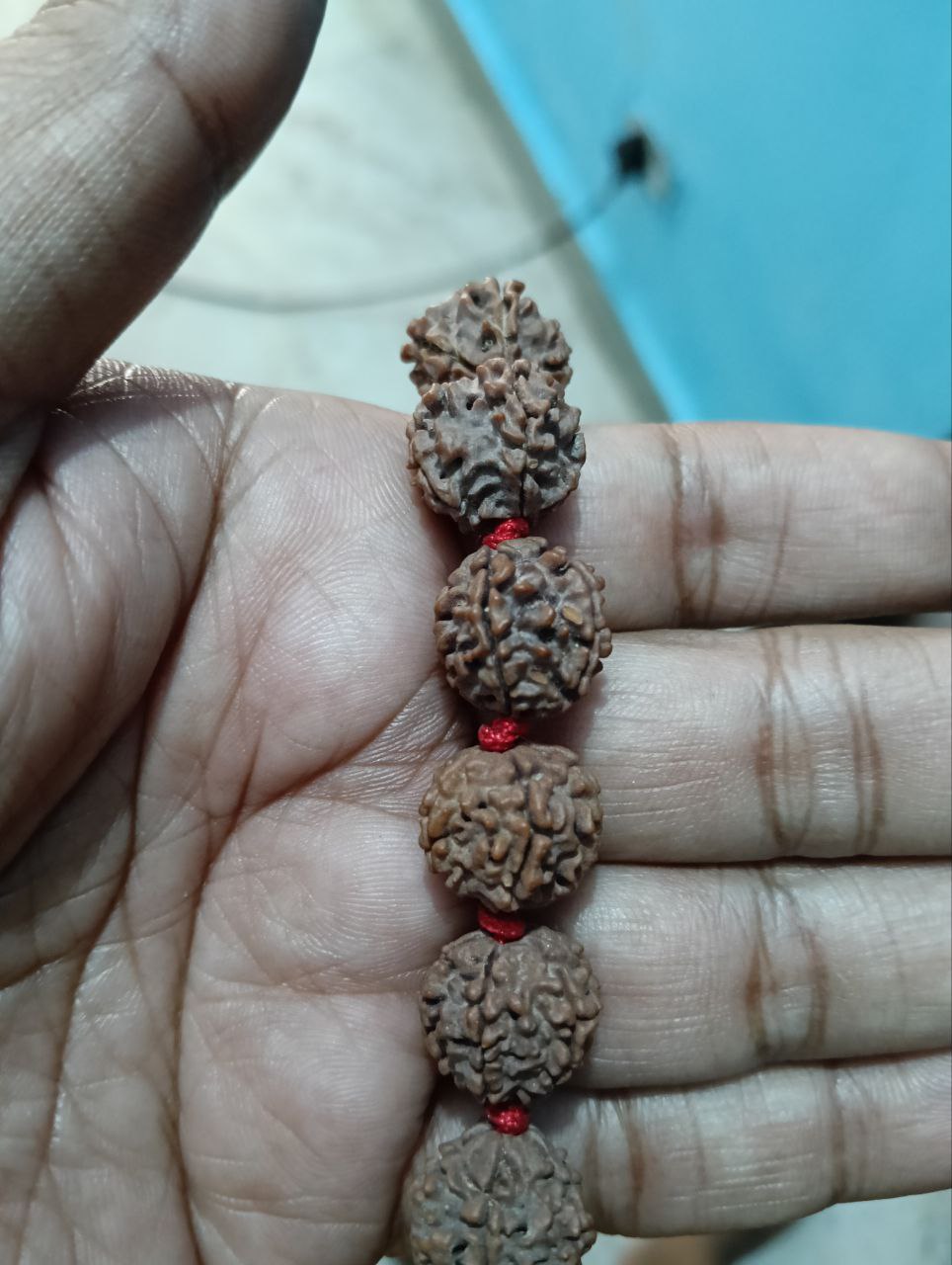 5 मुखी रुद्राक्ष माला (13–14 mm, 55 Beads) Nepali