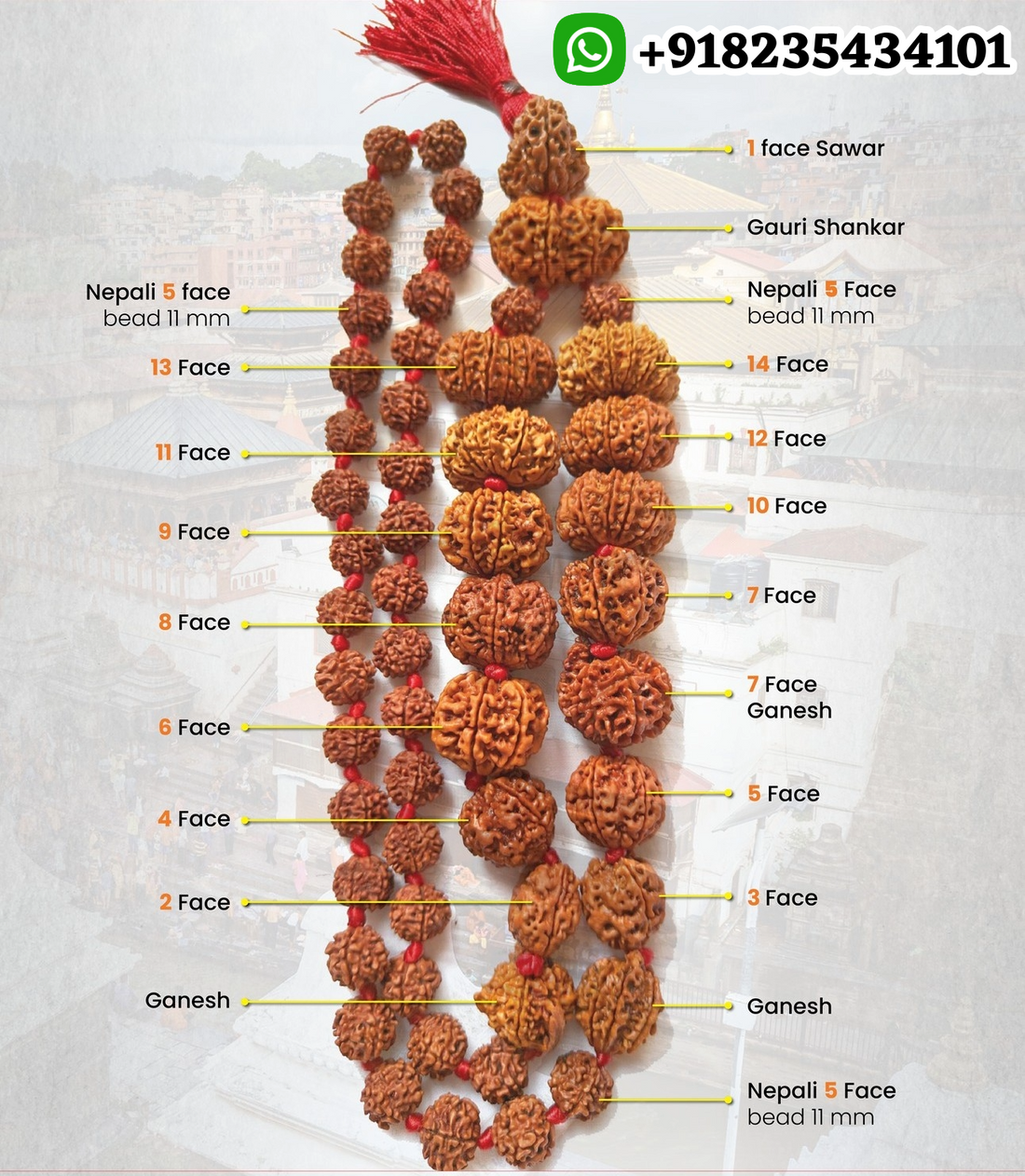 Siddh Mala : 1 to 14 Mukhi Nepali Rudraksh