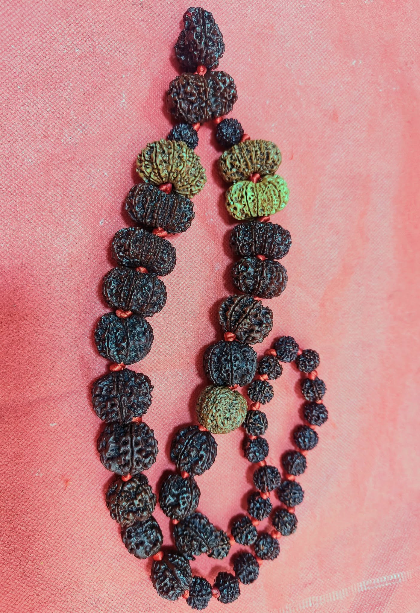 Siddh Mala : 1 -14 Mukhi Nepali Rudraksh