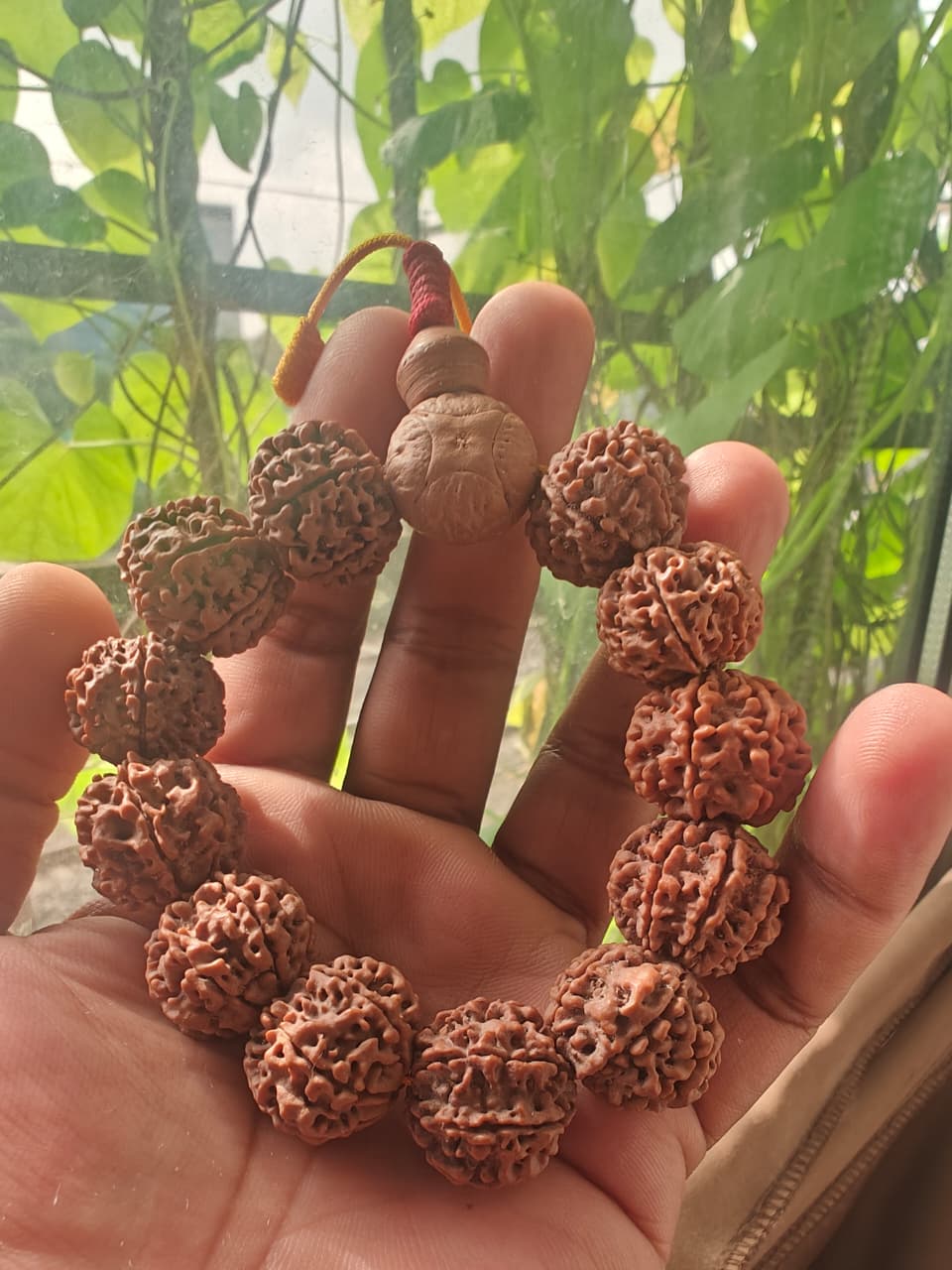 7 Mukhi Nepali Rudraksh Bracelet
