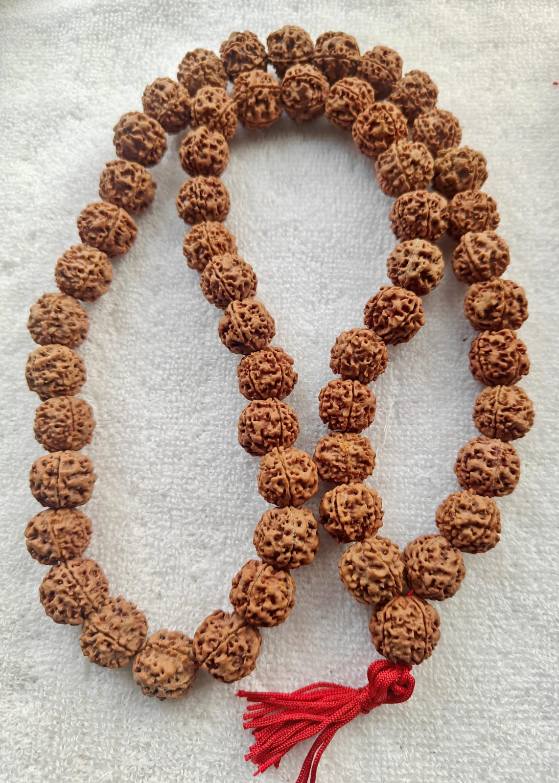 5 Mukhi Rudraksha Mala Standard 55 Beads