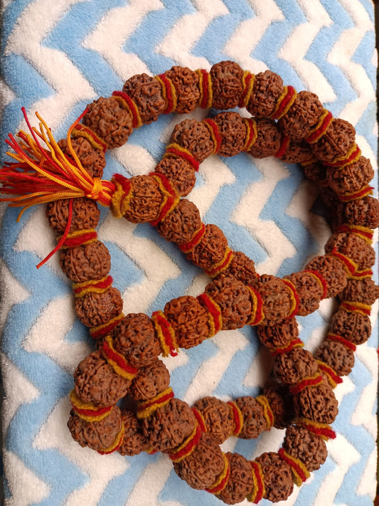 5 Mukhi  Rudraksh Makhmal Mala