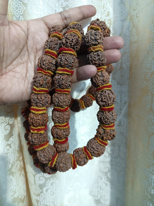 5 Mukhi  Rudraksh Makhmal Mala