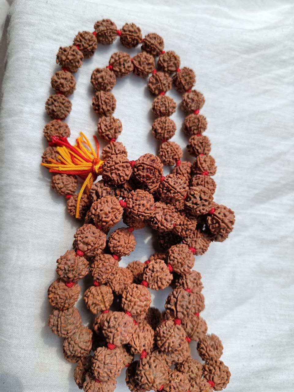 5 मुखी रुद्राक्ष माला (13–14 mm, 55 Beads) Nepali