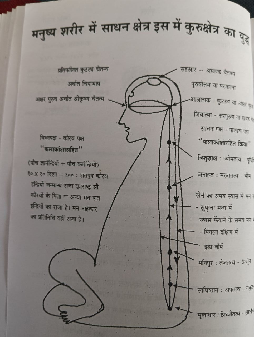 Babaji (हिमालय के आदित्यवर्ण महान दिव्य योगी पुरुष)