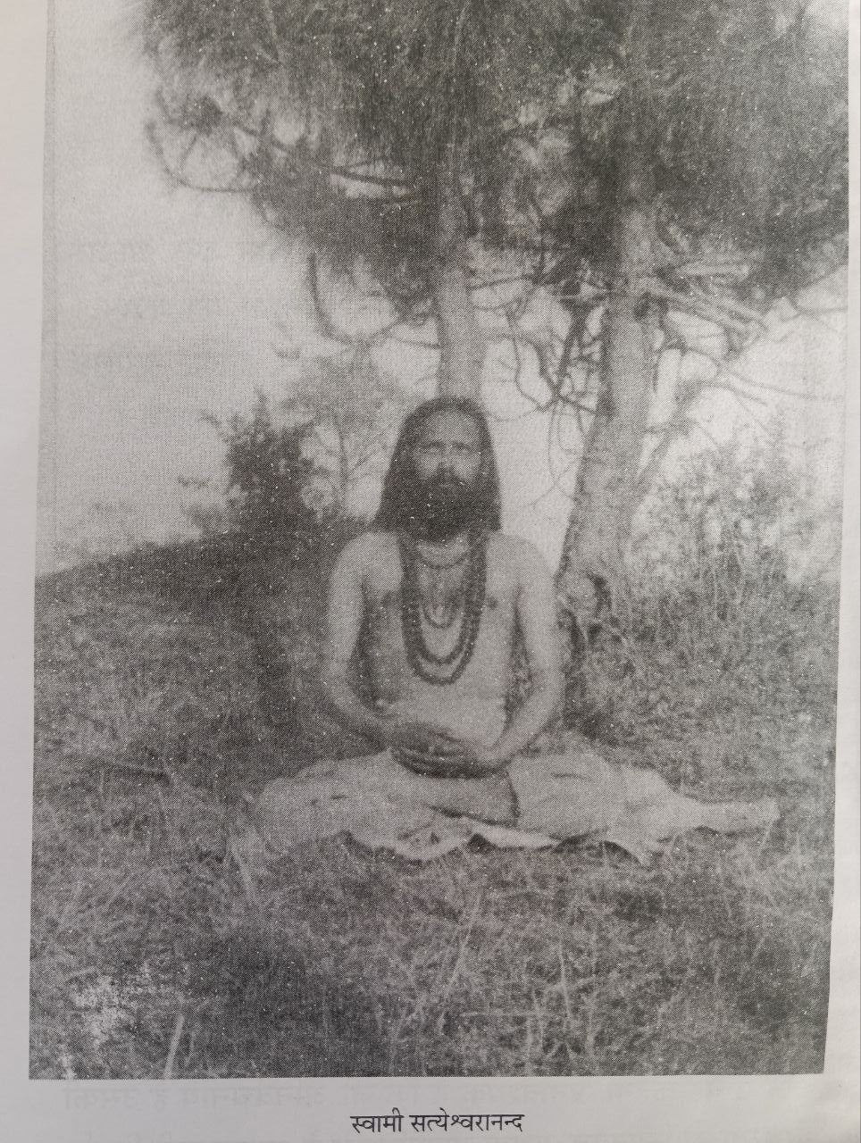 Babaji (हिमालय के आदित्यवर्ण महान दिव्य योगी पुरुष)